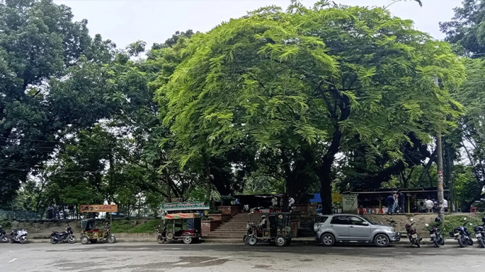 জীববৈচিত্র্য সংরক্ষণ এলাকায় রূপ পাচ্ছে রাজশাহীর শিমলা পার্ক